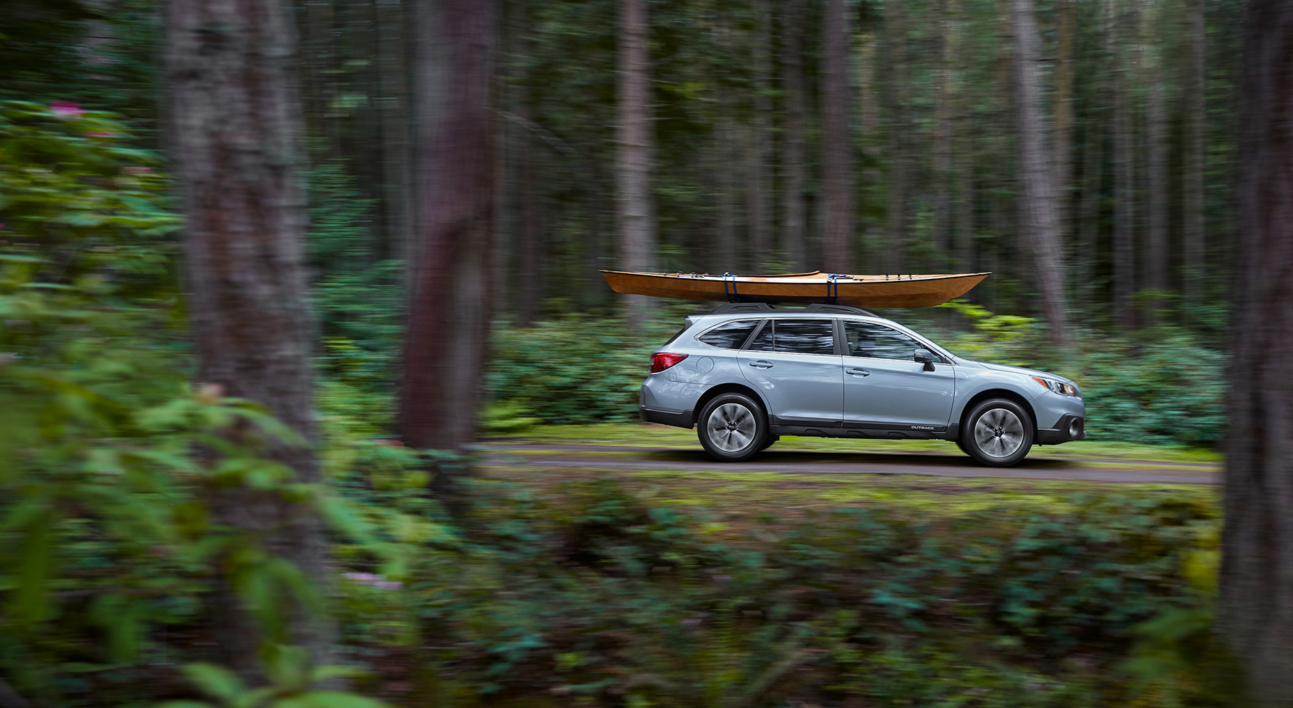 Christopher Nelson Photography|Subaru Outback|Forest|Seattle